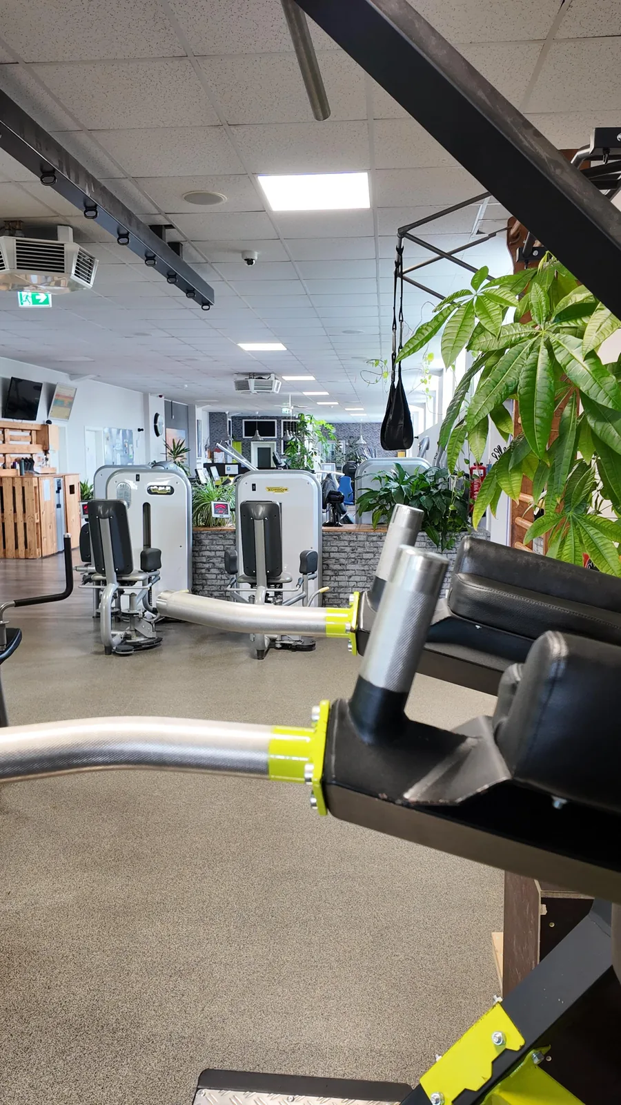 Studio DC GYM
               Gr&uuml;na