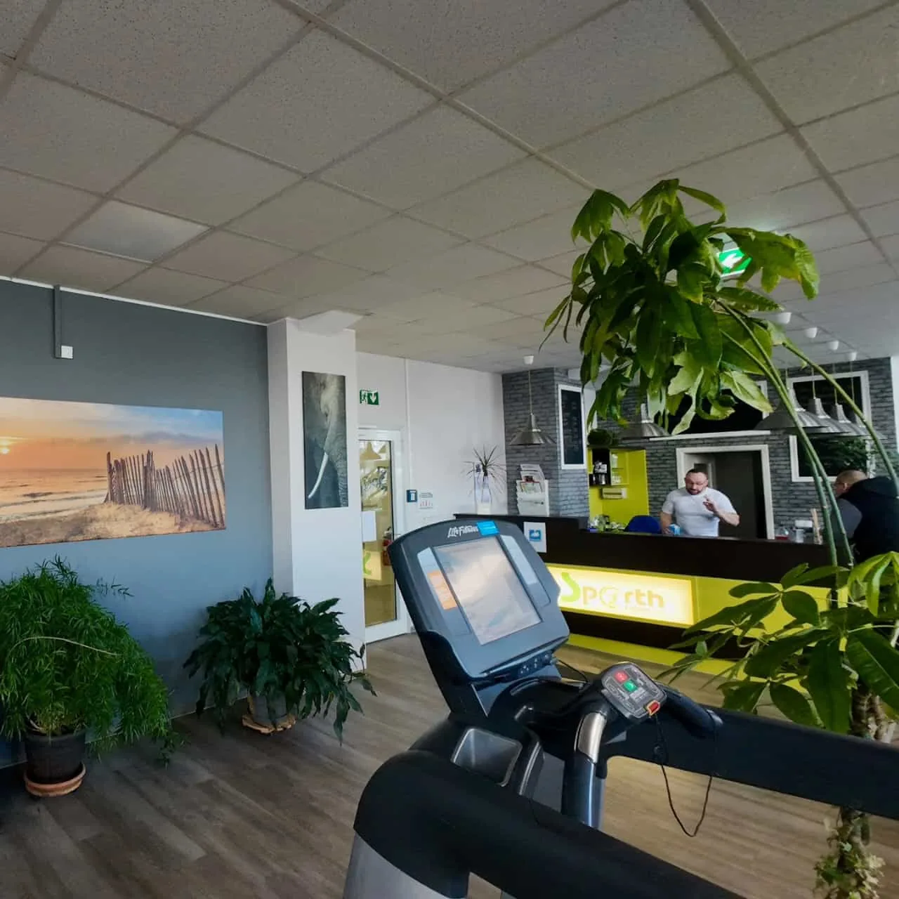 Studio DC GYM
               Gr&uuml;na