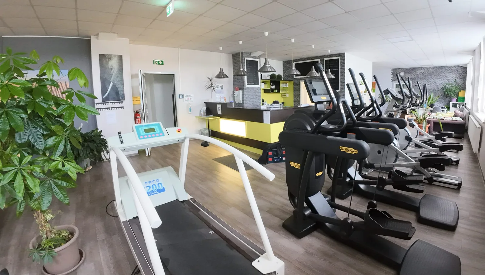 Studio DC GYM
               Gr&uuml;na