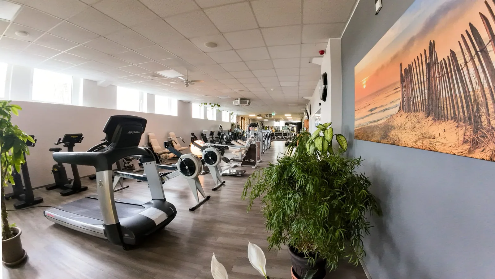 Studio DC GYM
               Gr&uuml;na
