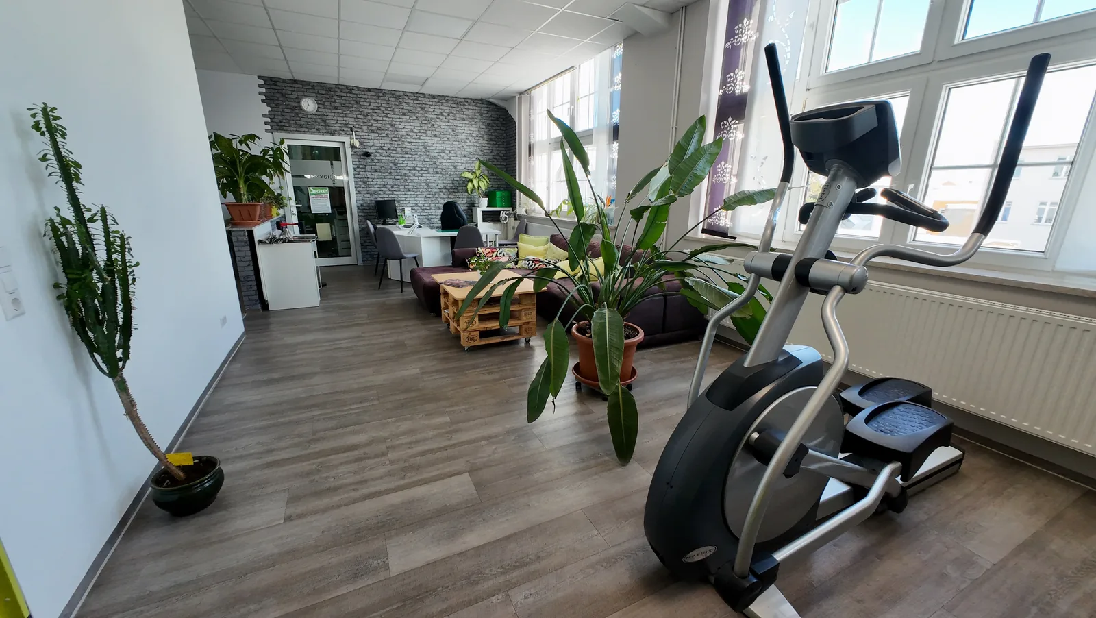 Studio DC GYM
               Gr&uuml;na