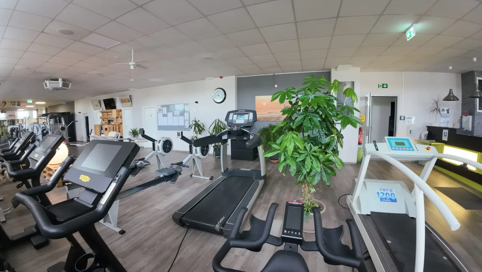 Studio DC GYM
               Gr&uuml;na