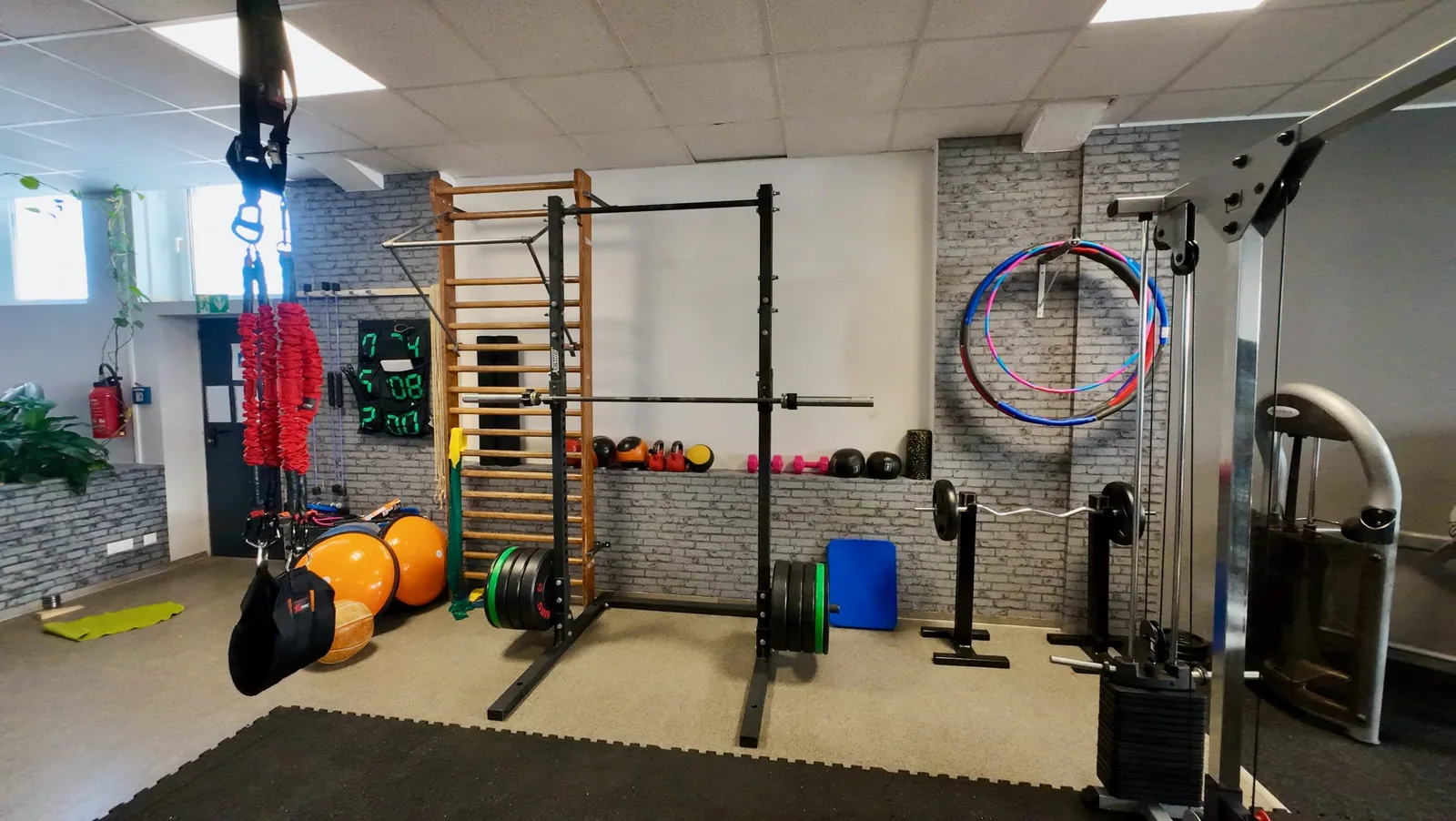 Studio DC GYM
               Gr&uuml;na