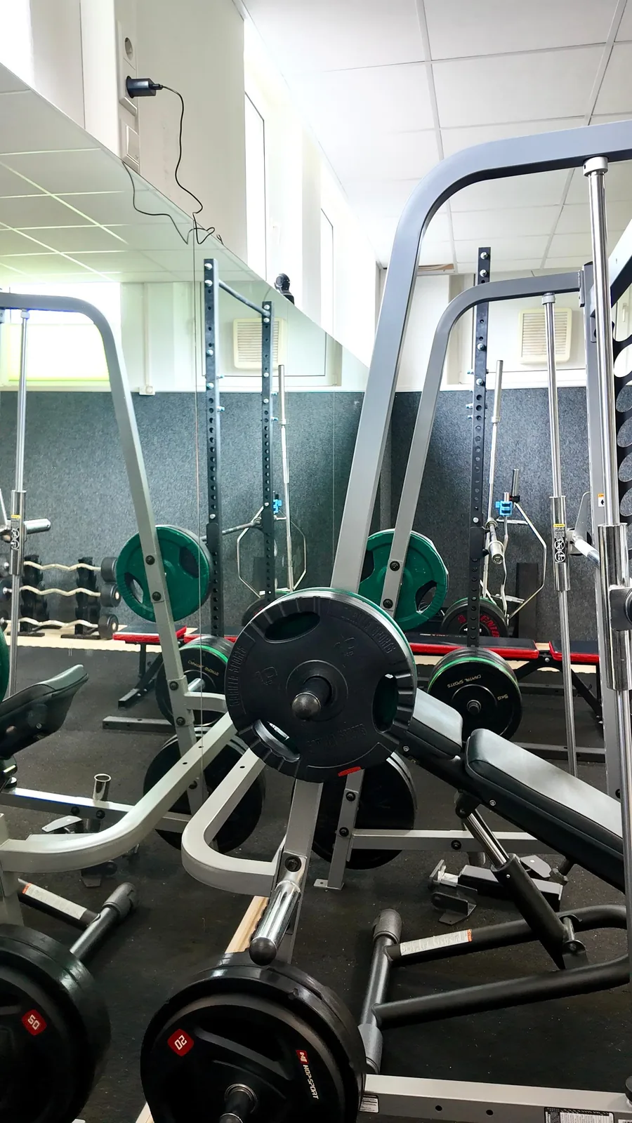 Studio DC GYM
               Gr&uuml;na