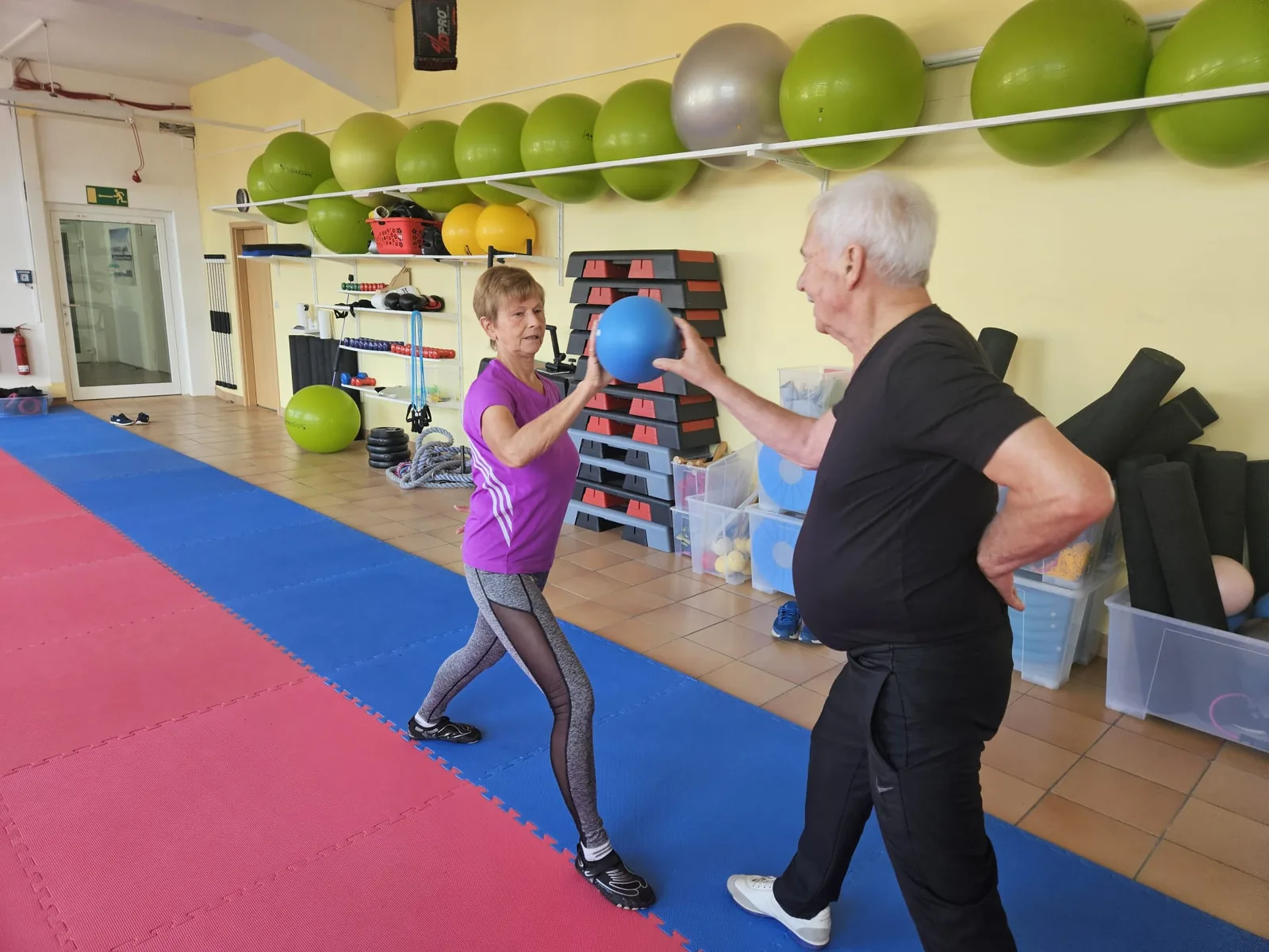 Studio DC GYM
               Gr&uuml;na