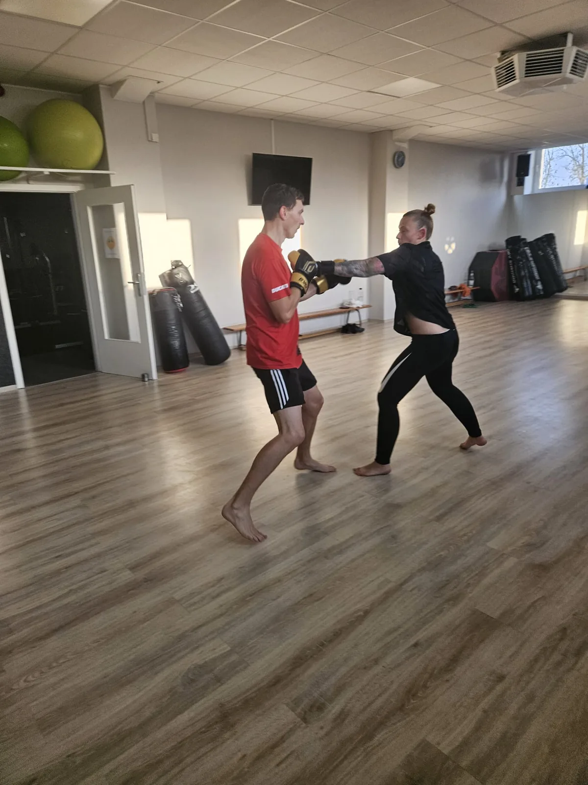 Studio DC GYM
               Gr&uuml;na