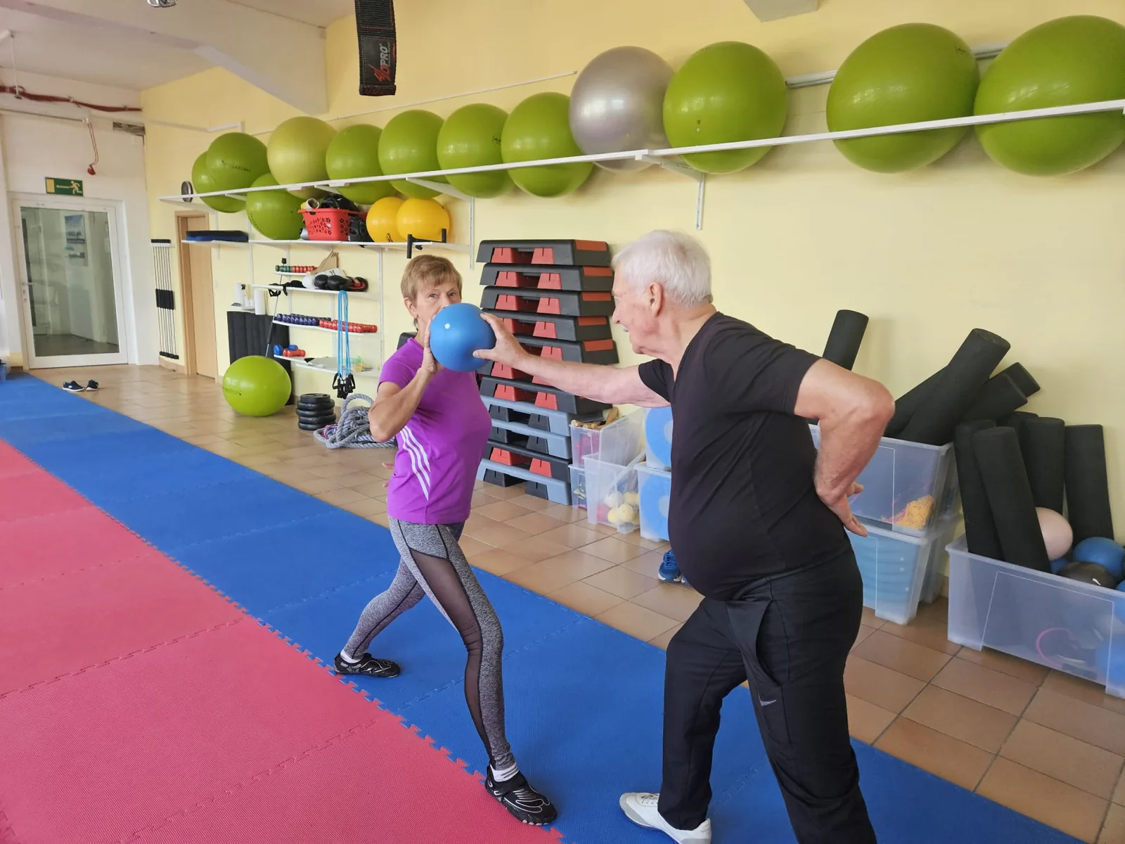 Studio DC GYM
               Gr&uuml;na