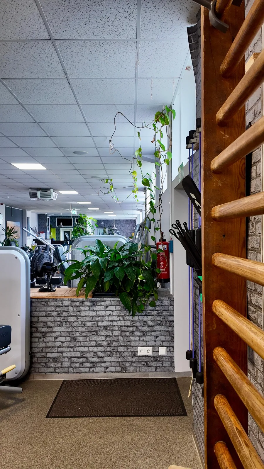 Studio DC GYM
               Gr&uuml;na