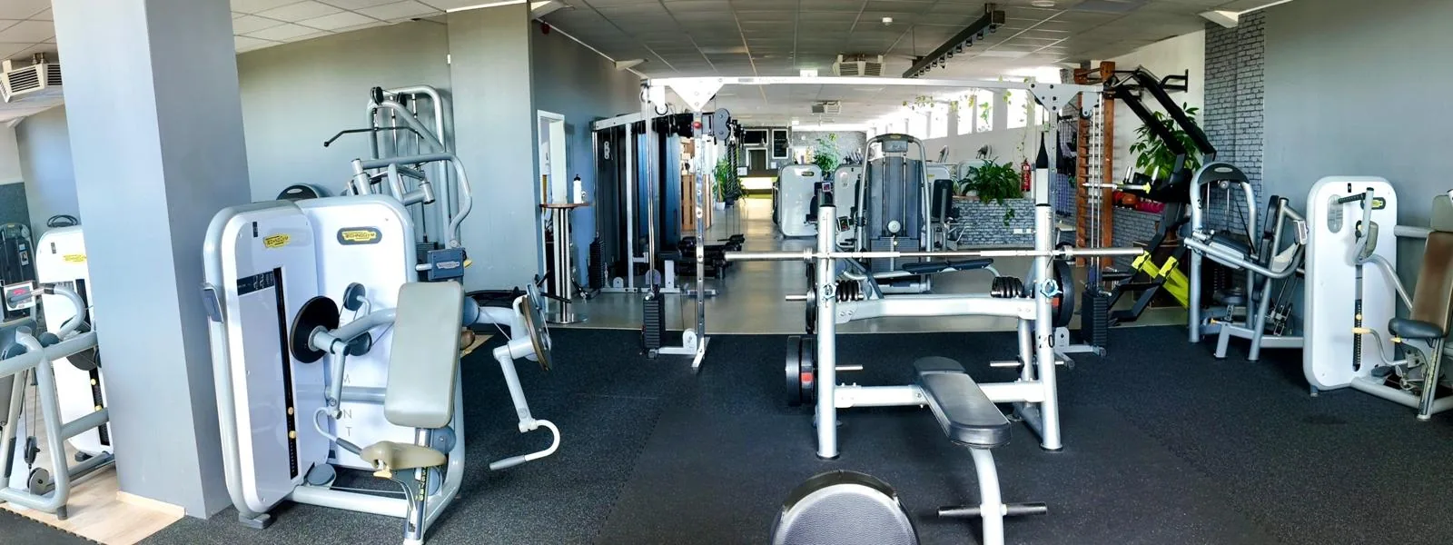 Studio DC GYM
               Gr&uuml;na