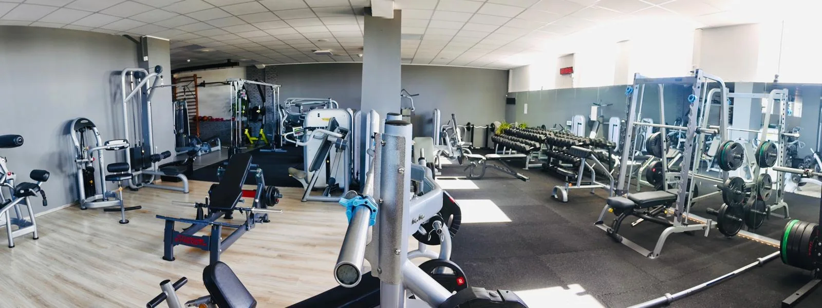 Studio DC GYM
               Gr&uuml;na
