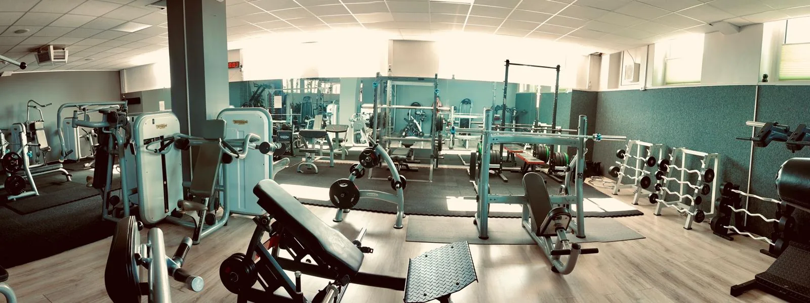 Studio DC GYM
               Gr&uuml;na