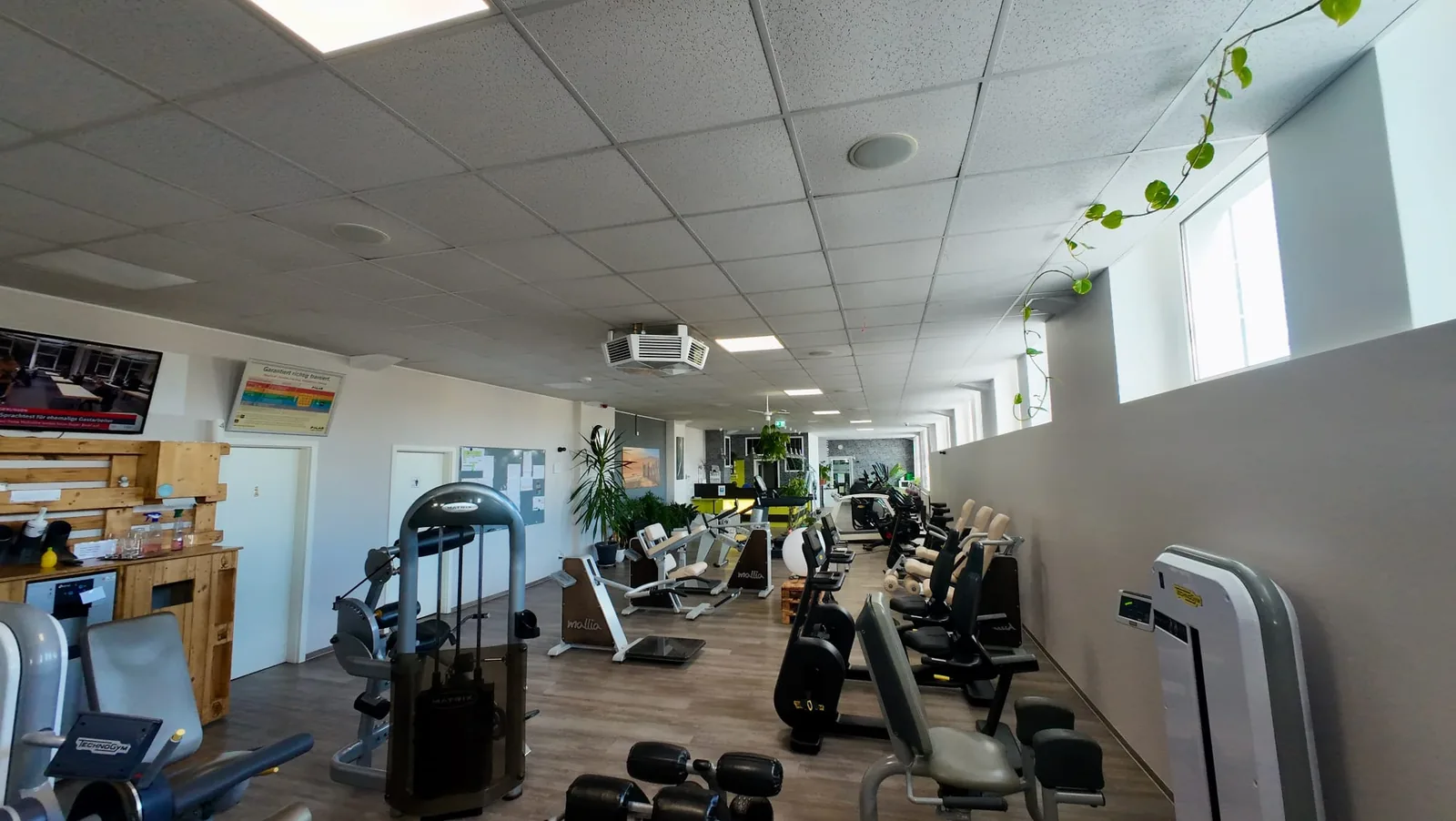 Studio DC GYM
               Gr&uuml;na