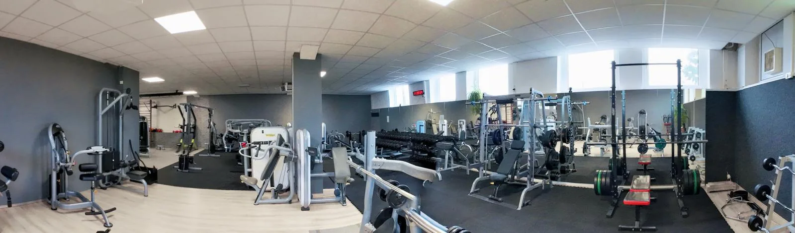 Studio DC GYM
               Gr&uuml;na