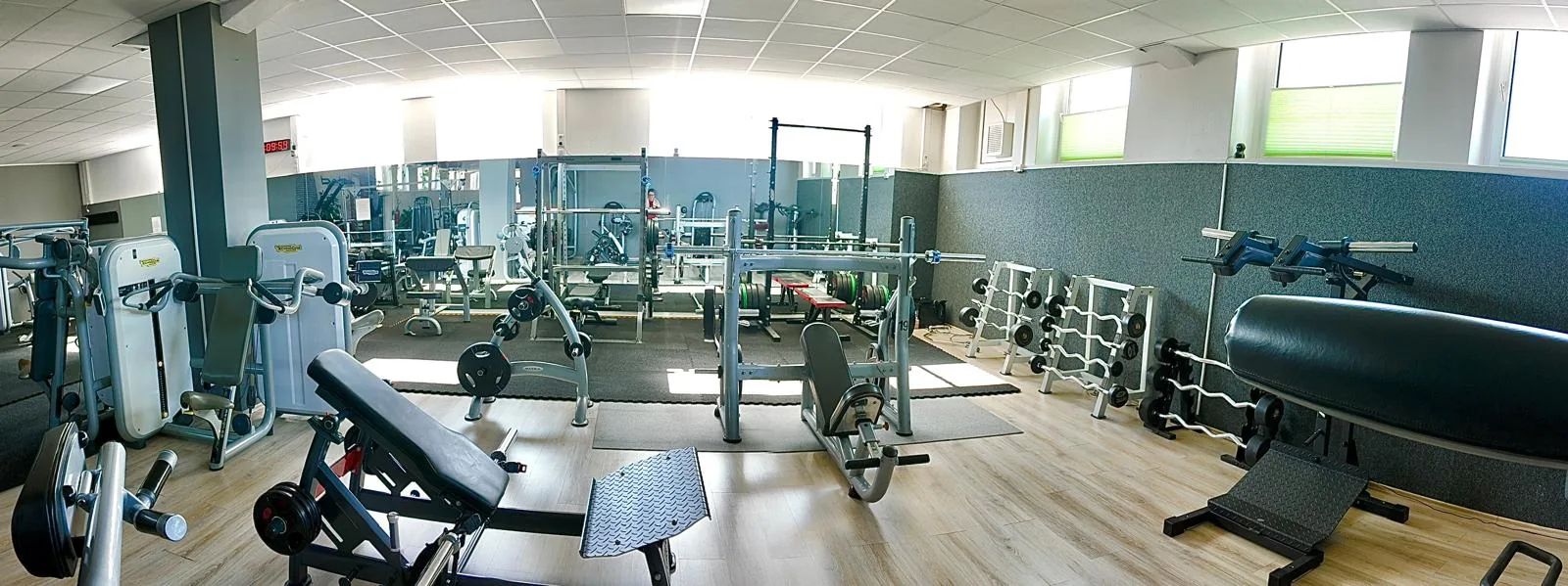 Studio DC GYM
               Gr&uuml;na