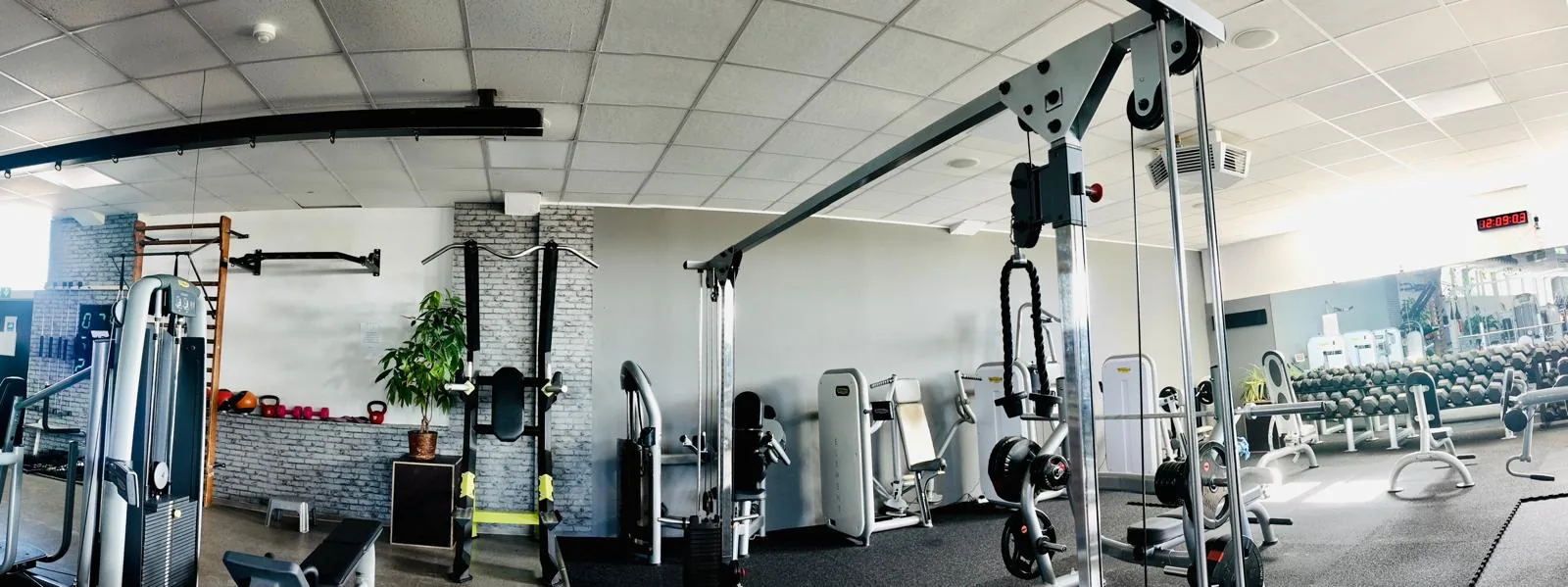 Studio DC GYM
               Gr&uuml;na