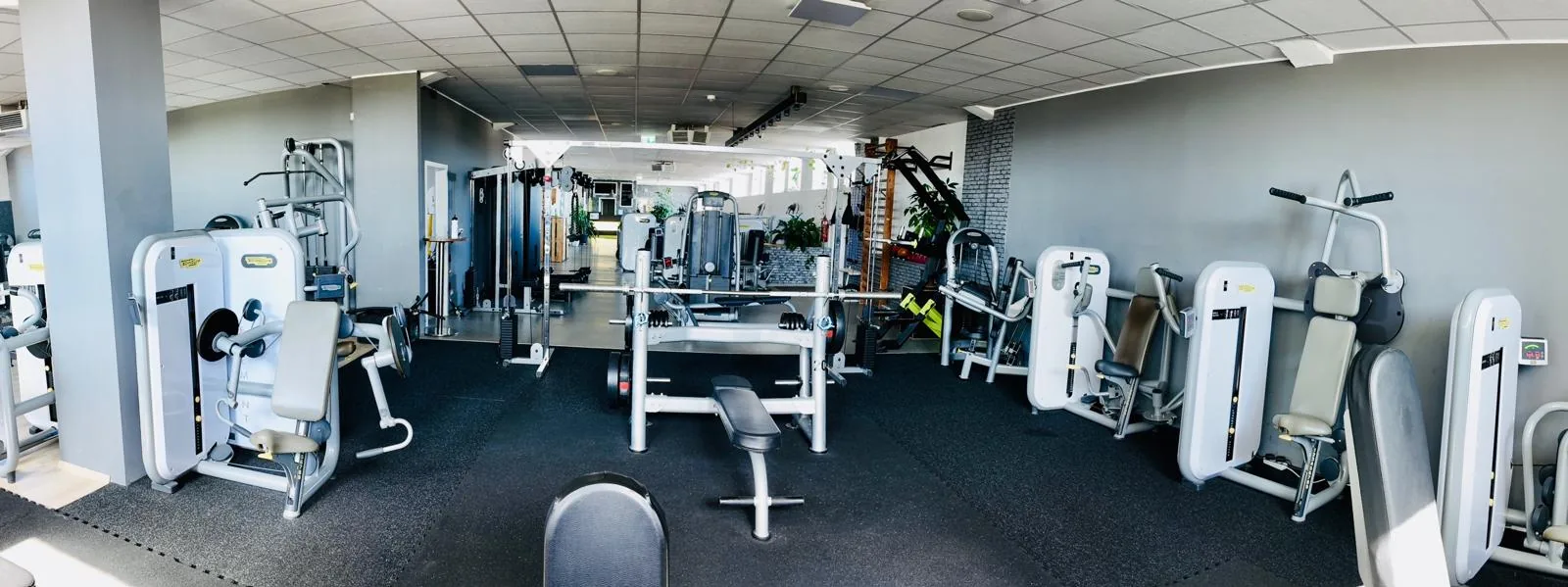 Studio DC GYM
               Gr&uuml;na