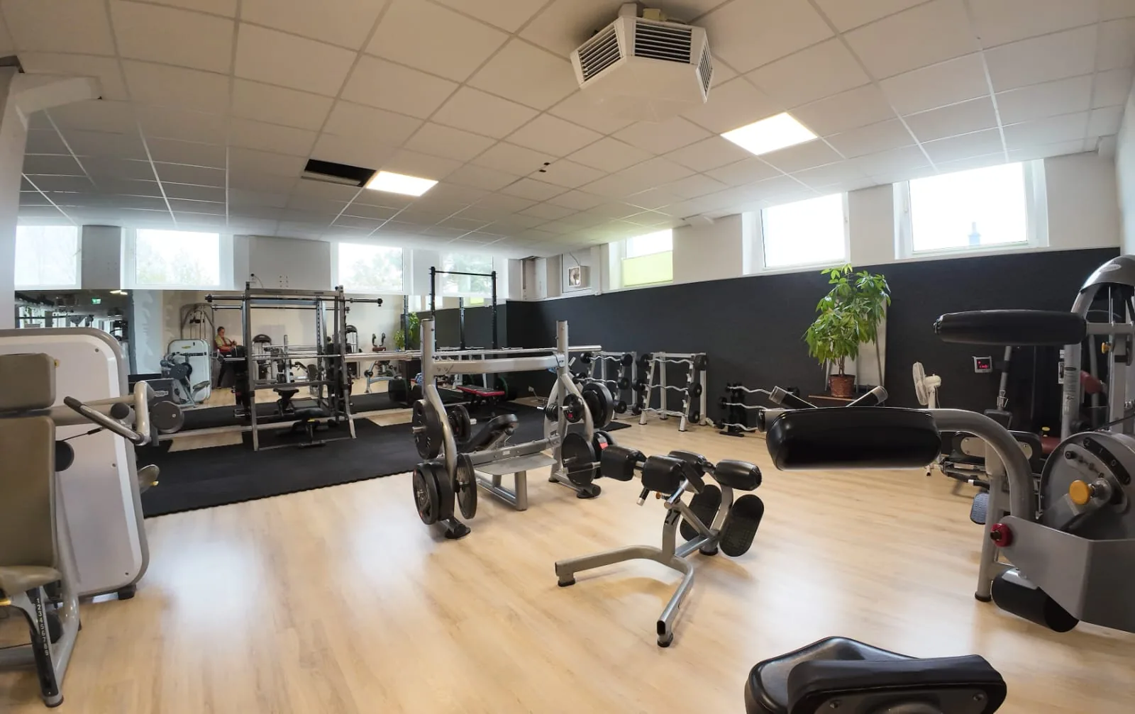 Studio DC GYM
               Gr&uuml;na