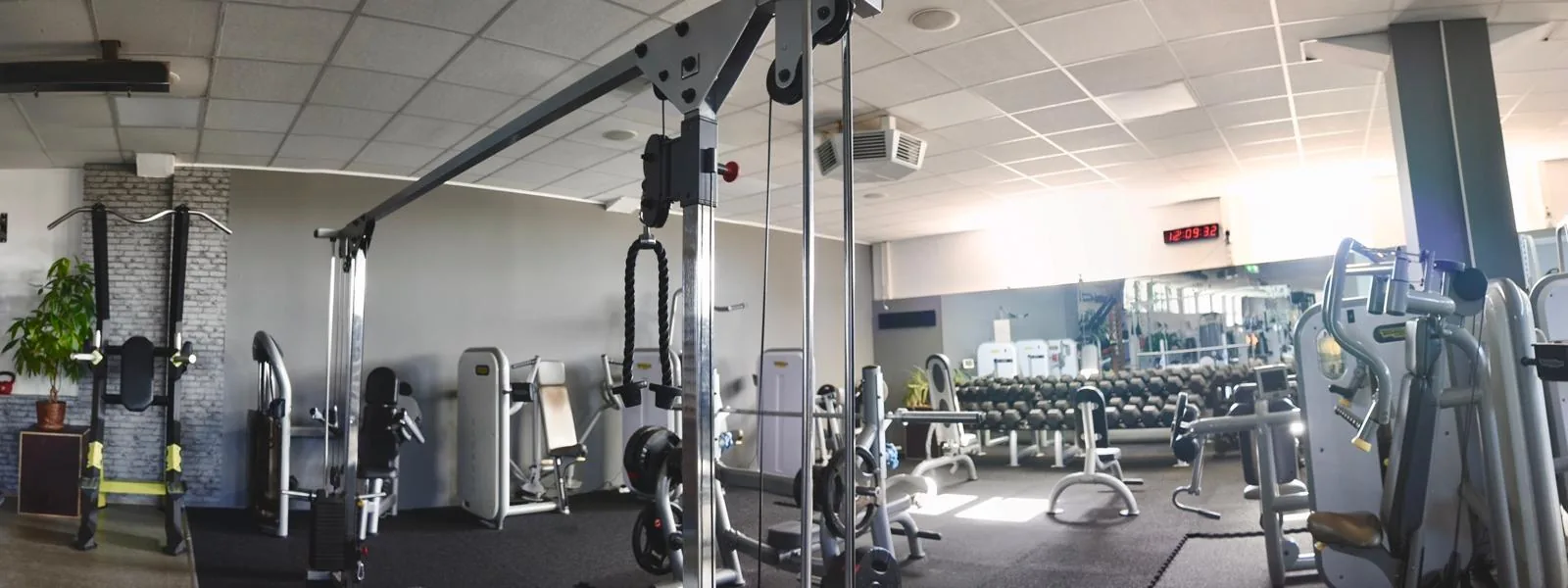 Studio DC GYM
               Gr&uuml;na