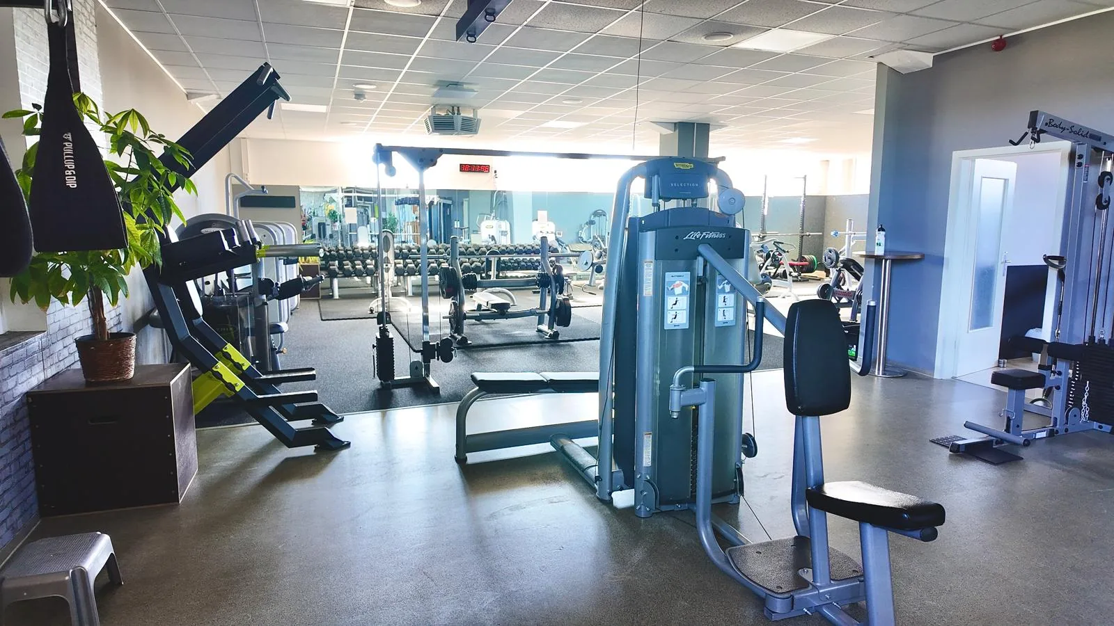 Studio DC GYM
               Gr&uuml;na