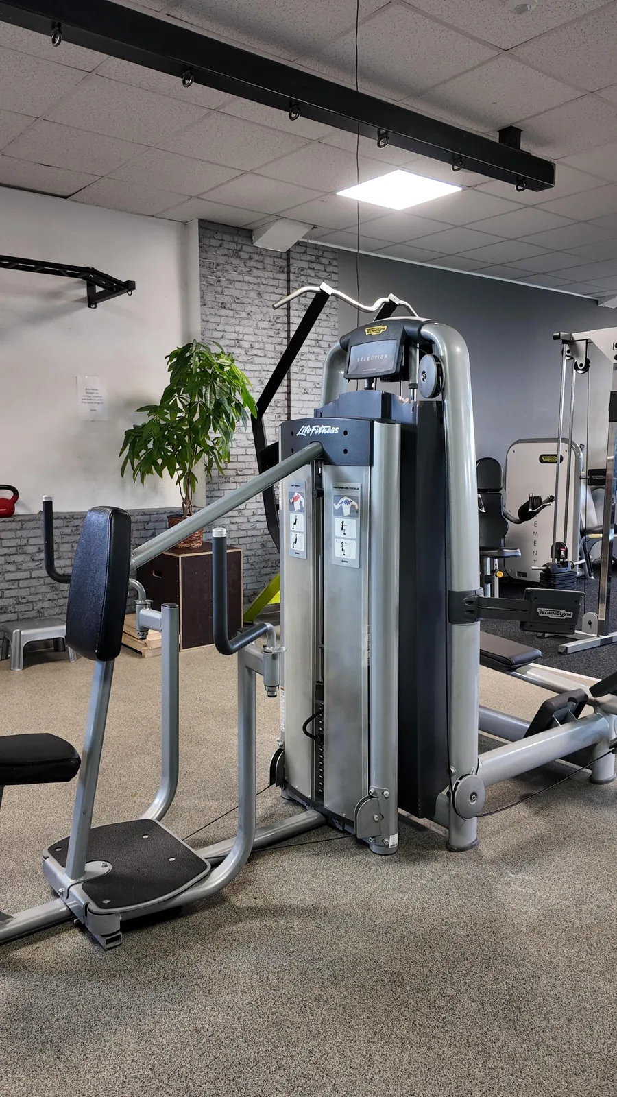 Studio DC GYM
               Gr&uuml;na