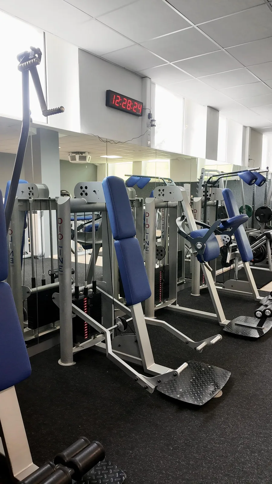 Studio DC GYM
               Gr&uuml;na