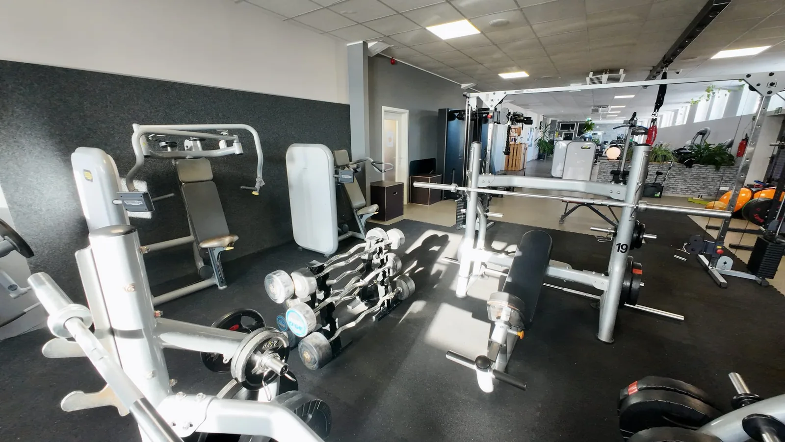 Studio DC GYM
               Gr&uuml;na