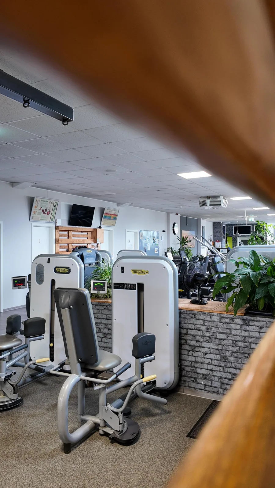 Studio DC GYM
               Gr&uuml;na