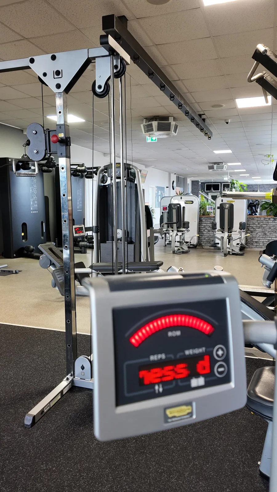 Studio DC GYM
               Gr&uuml;na