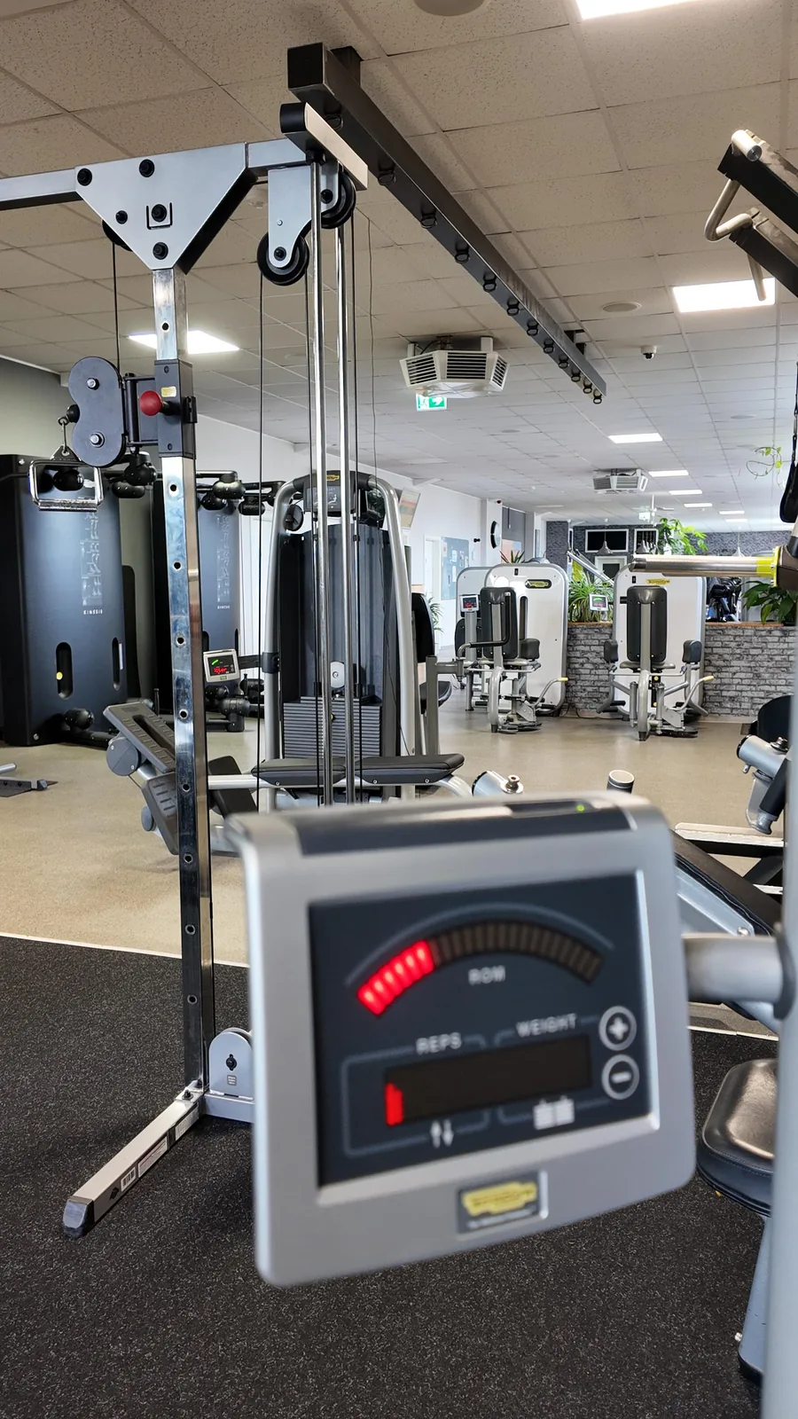 Studio DC GYM
               Gr&uuml;na