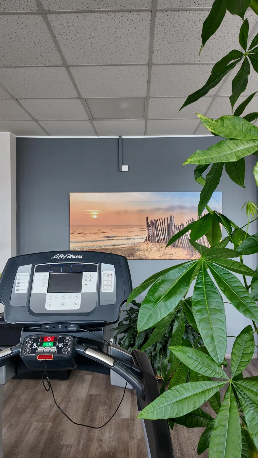 Studio DC GYM
               Gr&uuml;na