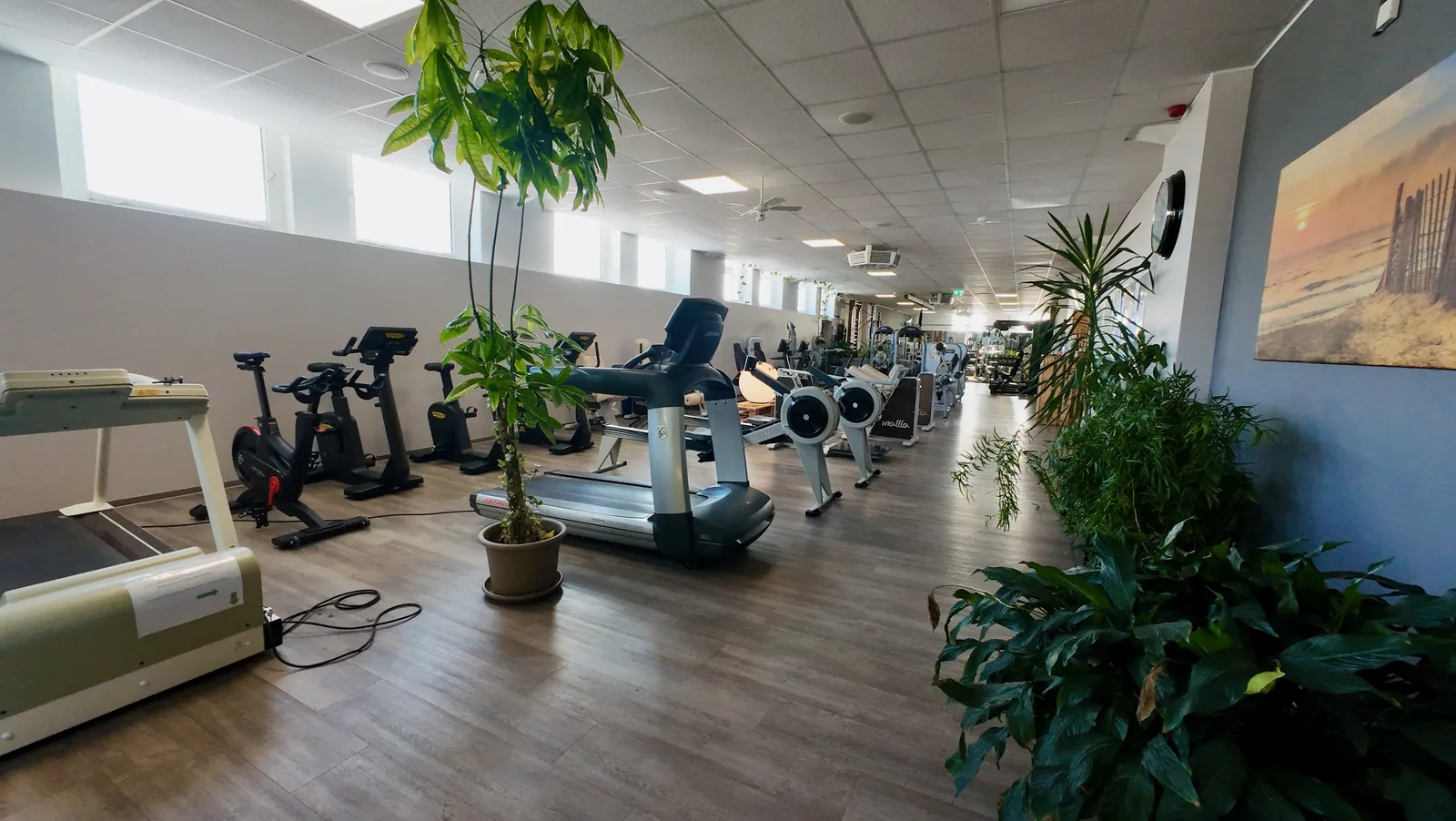 Studio DC GYM
               Gr&uuml;na