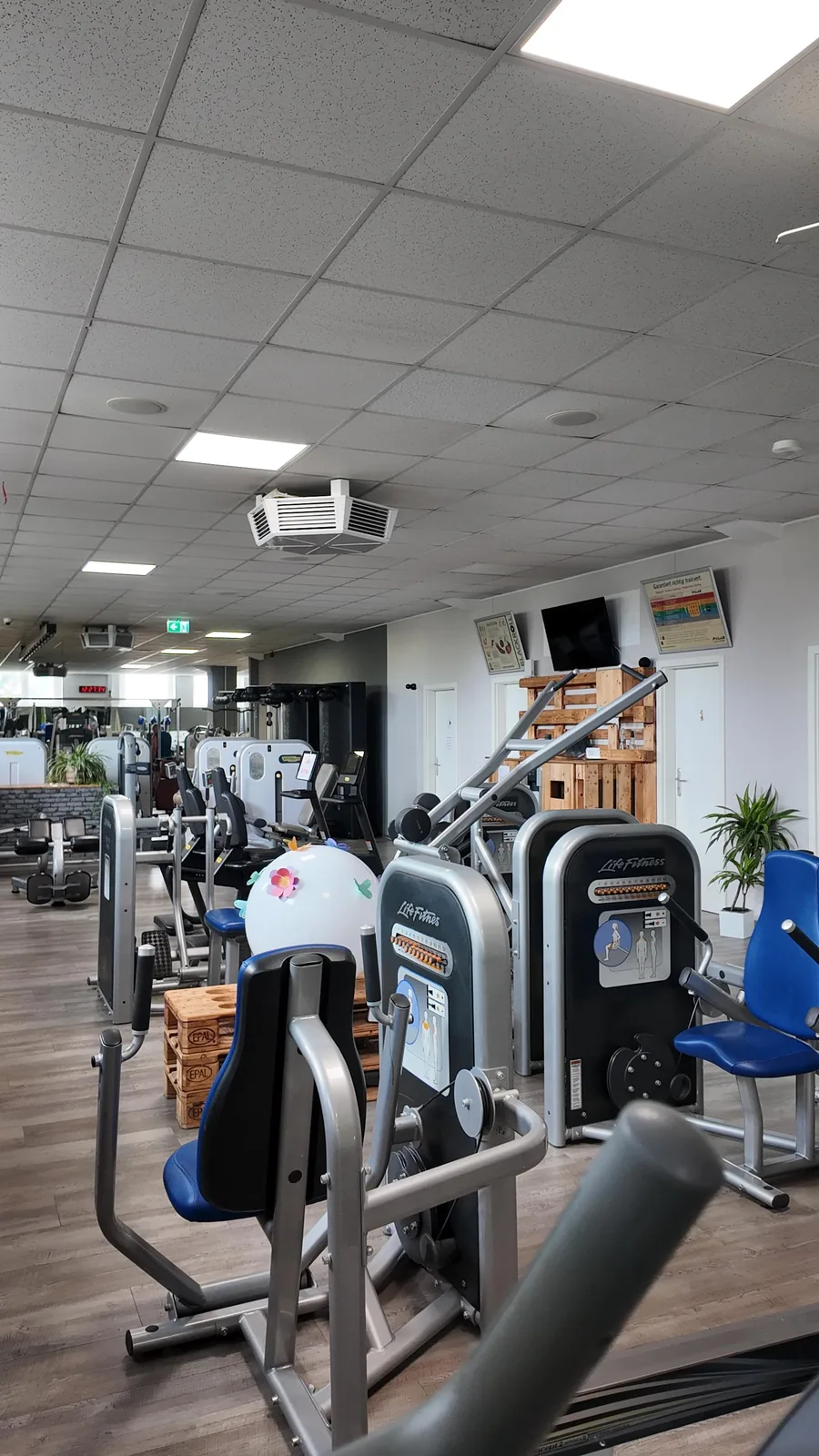 Studio DC GYM
               Gr&uuml;na