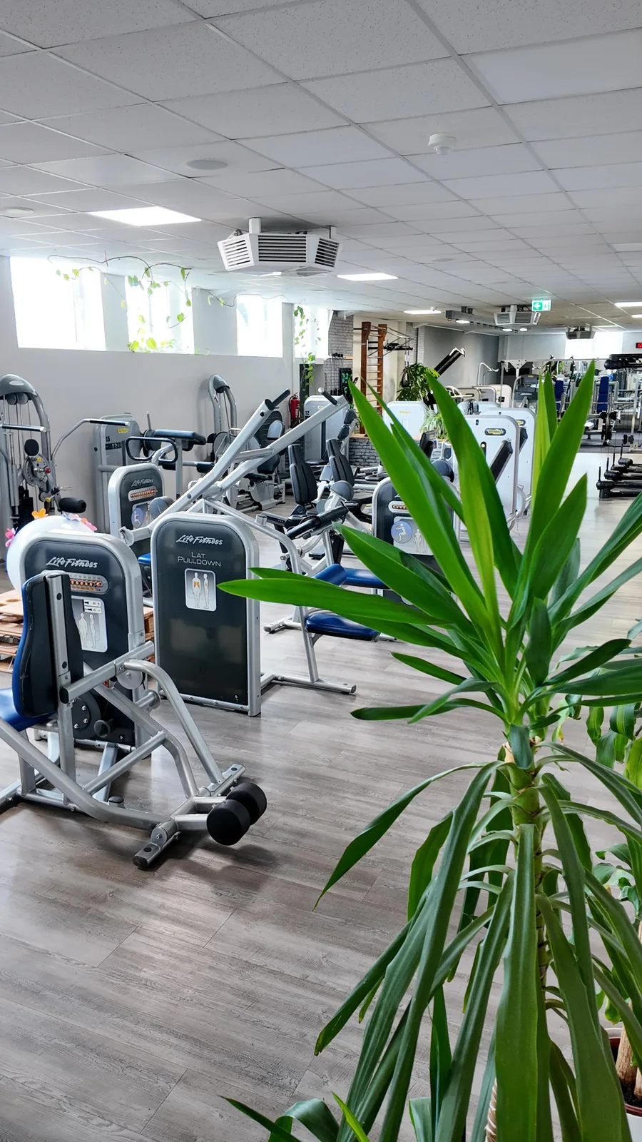 Studio DC GYM
               Gr&uuml;na