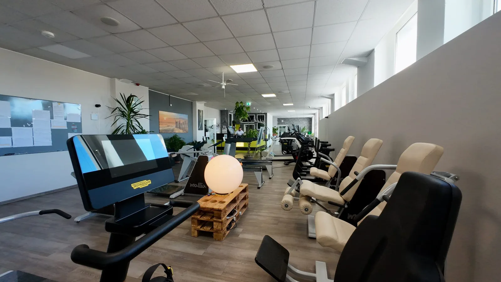DC GYM Grüna – Studioansicht